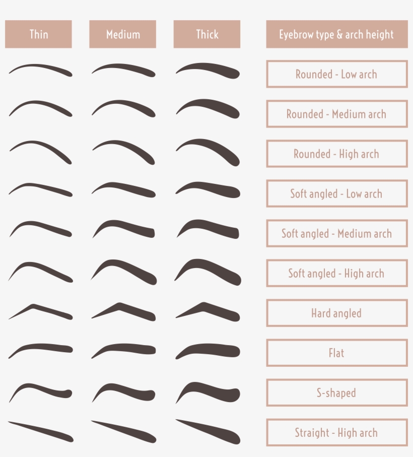 Ancient Egyptian Women Sported Arched Brows Darkened, transparent png #2776467