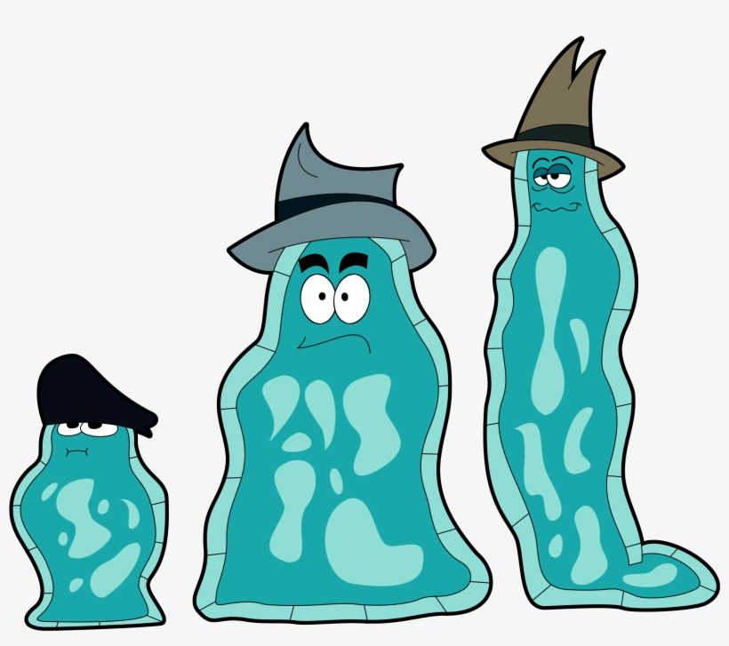 14 Amoeba Boys - Powerpuff Girls Amoeba Boys, transparent png #2776539