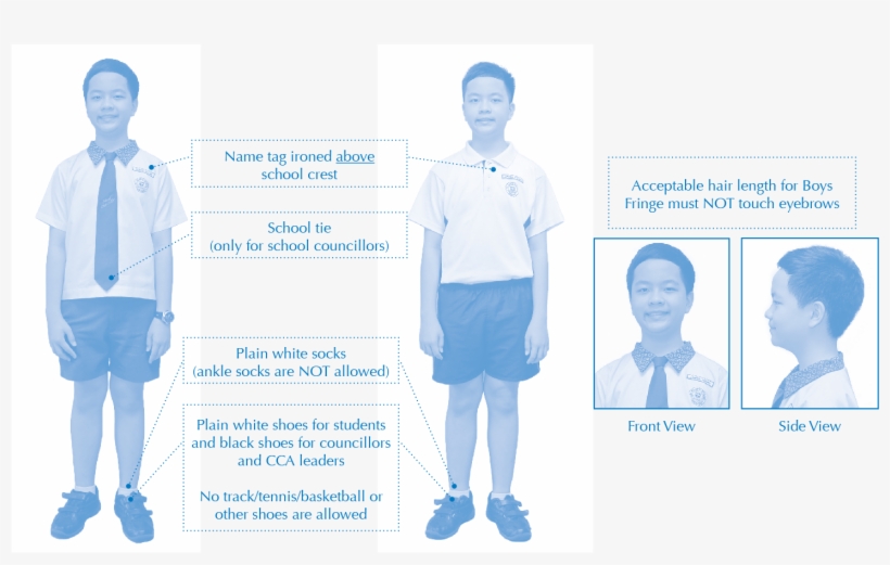 School Attire Boys - School, transparent png #2776736
