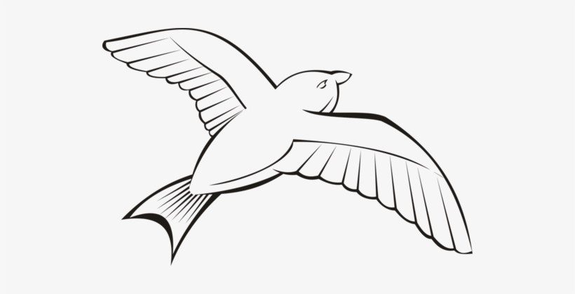 Bird Beak Flight Wing Penguin - Flight, transparent png #2777045
