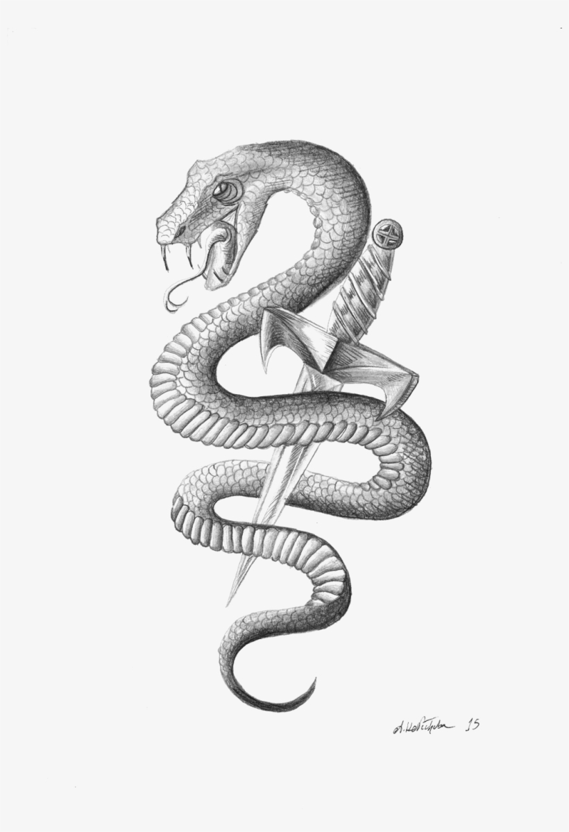 Snake Tattoo Png Image Background - Snakes Images For Tattoos - Free  Transparent PNG Download - PNGkey