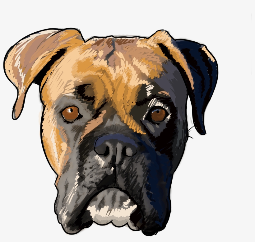 7 Why Are You A Boxer - Boxer, transparent png #2778632