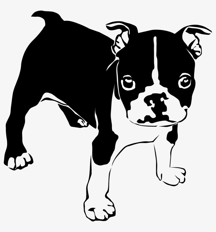Introducing Our Newest Training Class - Brown Boxer Puppy Shower Curtain, transparent png #2778791