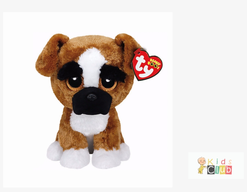 Brutus Beanie Boo, transparent png #2779003
