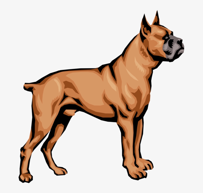 Vector Illustration Of Family Pet Brindle Boxer Dog - My Dog Has A Long Neck, transparent png #2779030