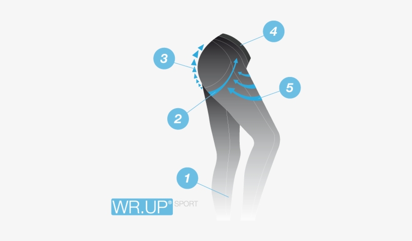 Britney Spears, Hilary Duff, Abbey Clancy, Lea Michele, - Freddy Wr Up Diwo Sports, transparent png #2779177