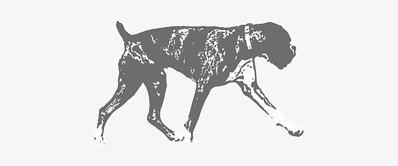 Click And Drag To Re-position The Image, If Desired - Boxer, transparent png #2779194