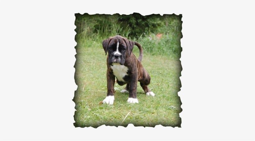 Picture - Matt Dallas Thinking Of You, transparent png #2779195