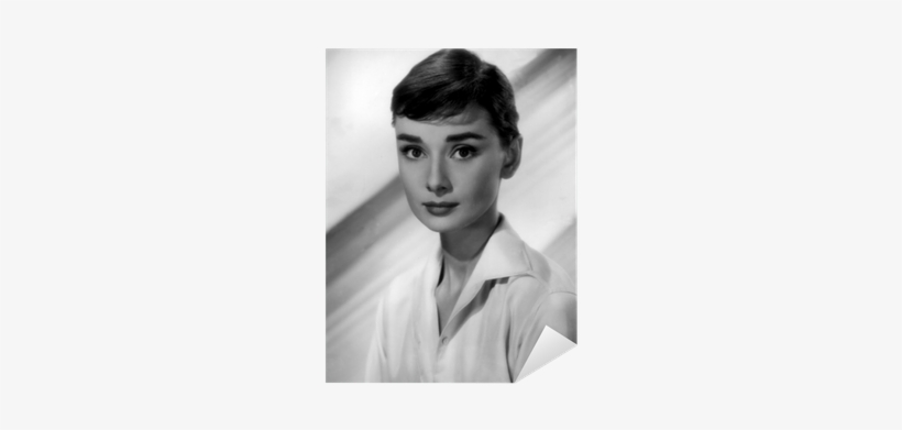 Poster: Audrey Hepburn, 61x46in., transparent png #2779300