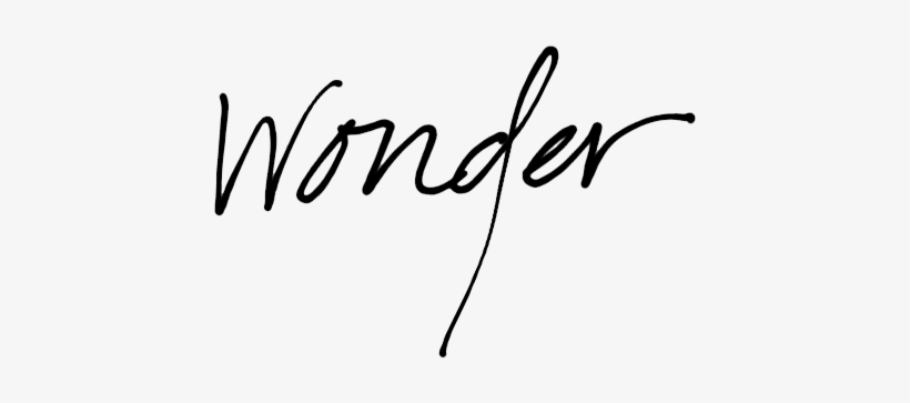 The Fancy Way Crisive Krisive - Wonder Word, transparent png #2779466