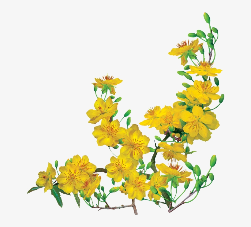 Xuan Giap Ngo 2014, transparent png #2780427