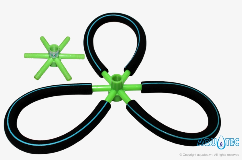 Ochna Integerrima, transparent png #2780514
