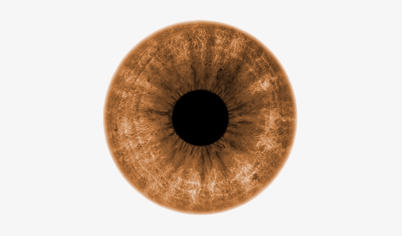 Light Brown - Light Brown Eyes Transparent, transparent png #2780633