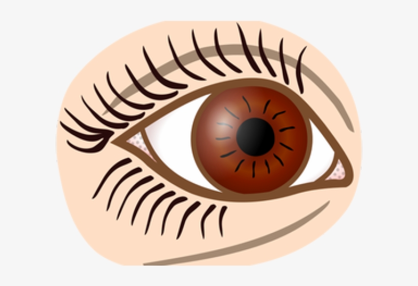 Auge Clipart Schwarz Weiß, transparent png #2781066