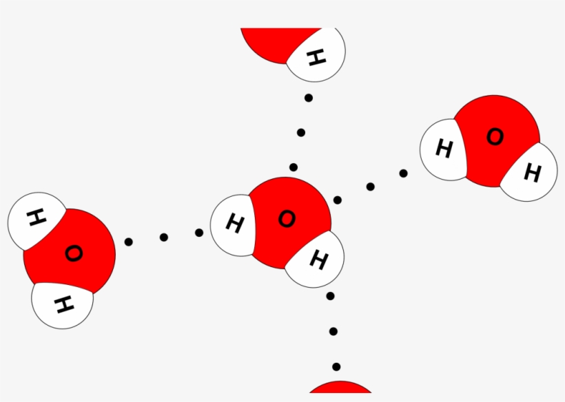 Water Molecule 4 Hydrogen Bonds, transparent png #2781311