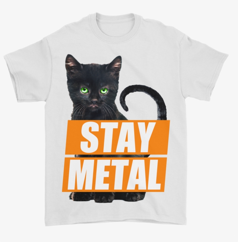 Stay Metal Halloween - Black Cat, transparent png #2781335