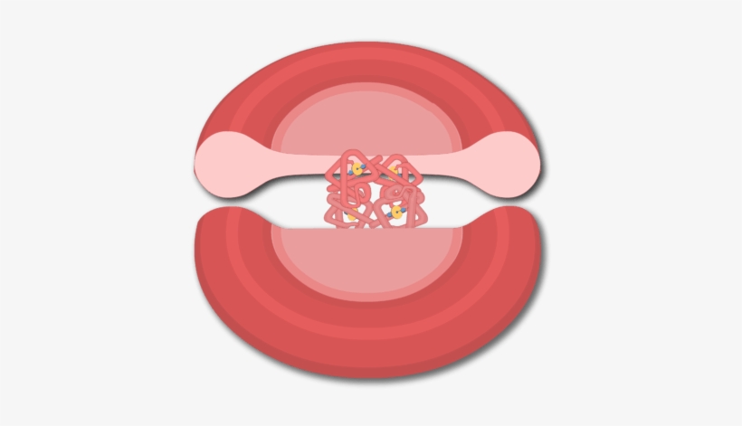 Svg Library Stock Blood Cell Clipart - Red Blood Cell, transparent png #2781452