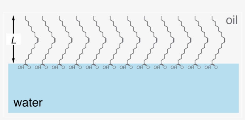 Fig Molecule Film - Film, transparent png #2781768