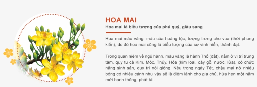 Bánh Chưng Là Một Loại Bánh Truyền Thống Của Dân Tộc - English Marigold, transparent png #2781786