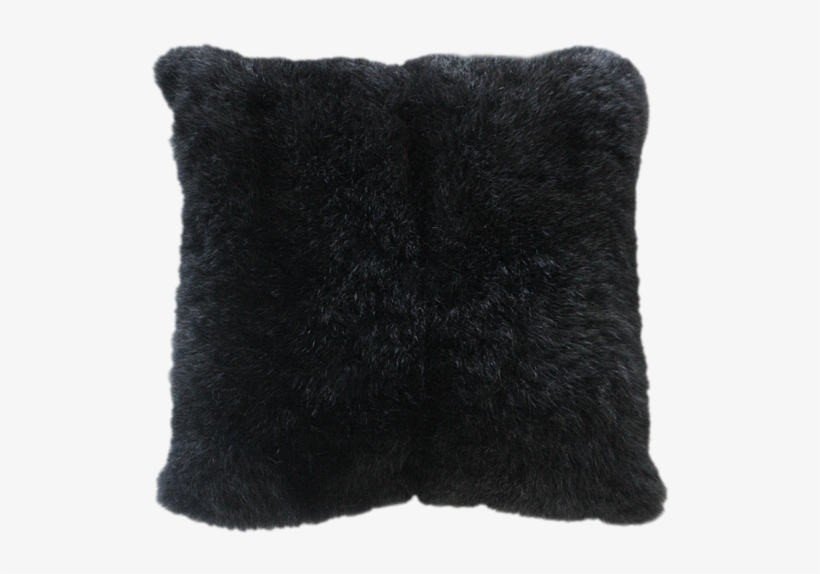 3313fc Nz Brushtail Opossum Fur - Cushion, transparent png #2782908