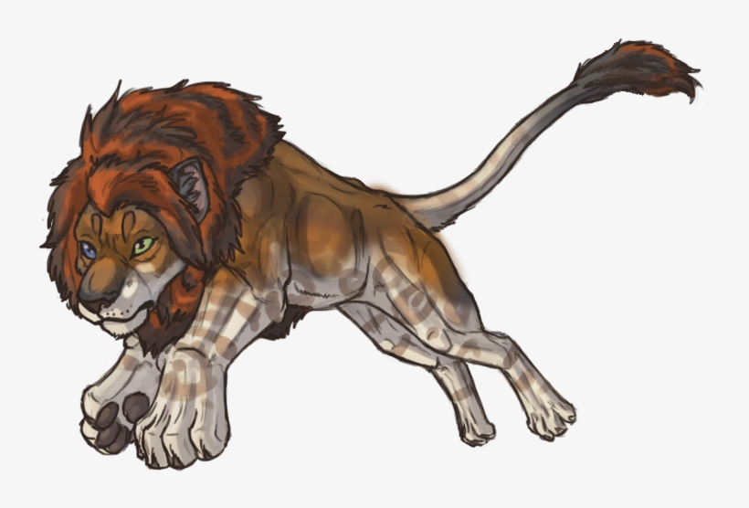 The Gallery For - Lion, transparent png #2783075