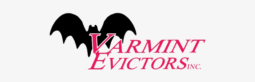 Varmint Evictors - Wildlife, transparent png #2783122