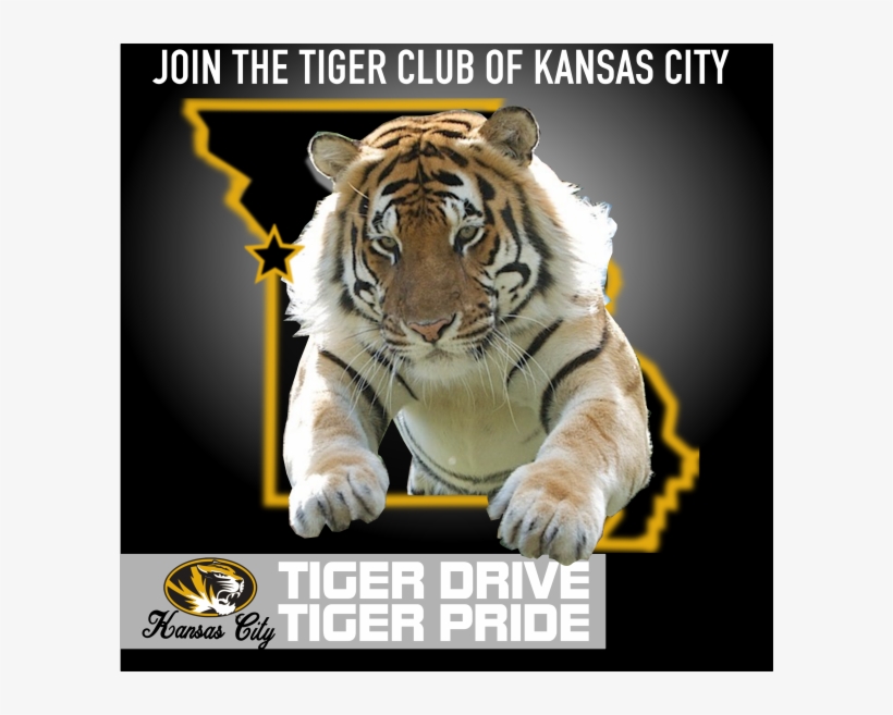 Free Jumping Tiger Png - Catch Me If You Can, transparent png #2783258