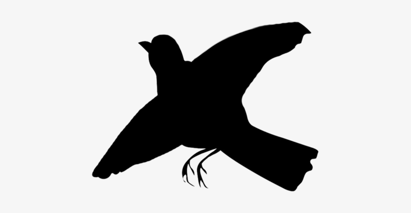 Flying Bird Silhouette Png Www Imgkid Com The Image - Vaux S Swift, transparent png #2784593