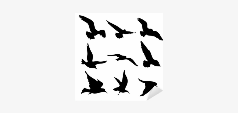 Flying Birds Silhouettes Illustration Sticker • Pixers® - Sagome Uccelli In Volo, transparent png #2784680