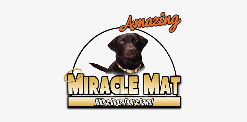 Miracle Mat - Mat, transparent png #2784981