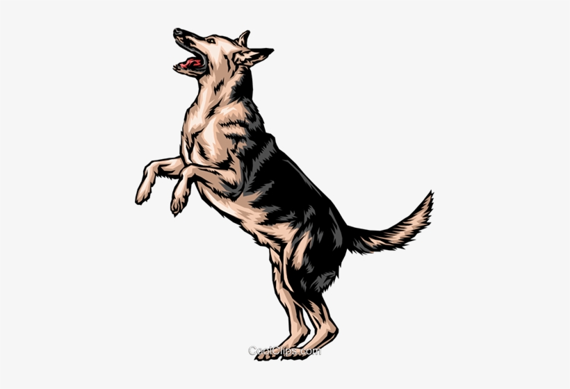 German Shepherd Royalty Free Vector Clip Art Illustration - German Shepherd Standing On Hind Legs, transparent png #2785250