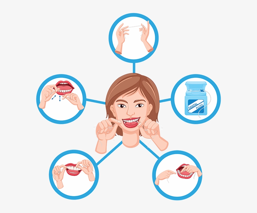 Proper Flossing Technique - Proceso De Limpieza De Dientes, transparent png #2786130