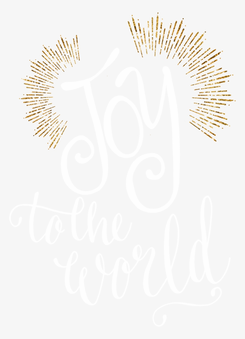 We Are A High-end Studio That Specializes In Heirloom - Fireworks, transparent png #2787586