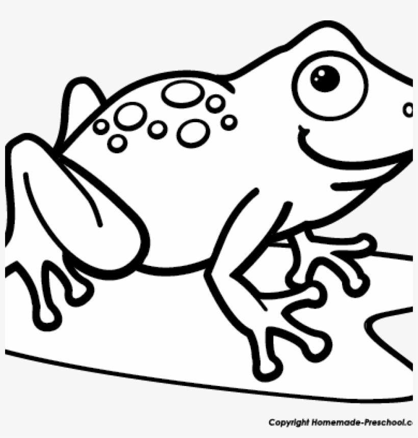 Black And White Frog Clipart 19 Tree Frog Png Transparent - Frog, tra...