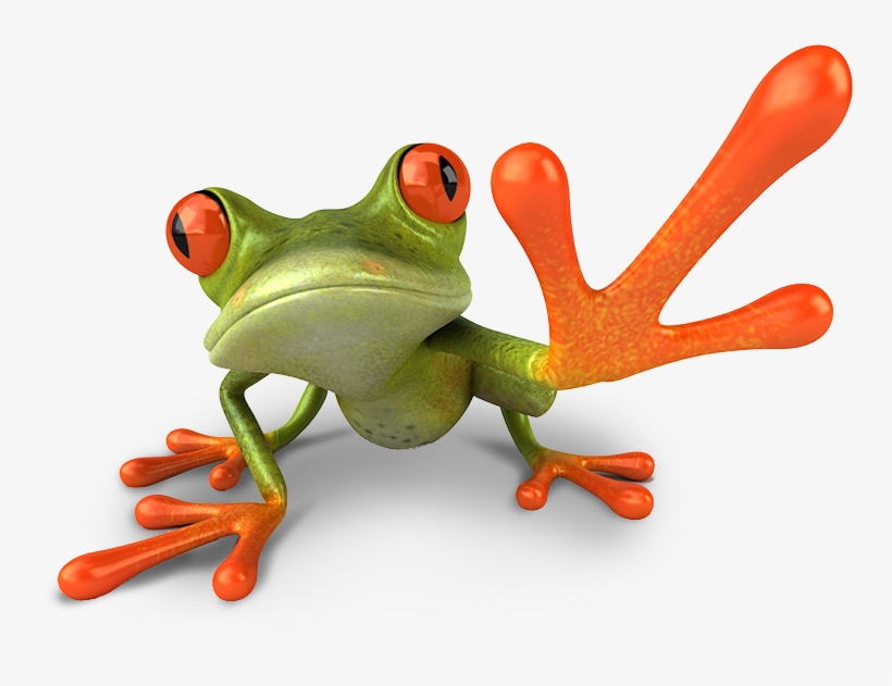 Frog Doing High Five - Green Orange Frog, transparent png #2787785