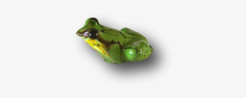 James Dodson ~ Green Tree Frog - Gallery Salamanca, transparent png #2787871