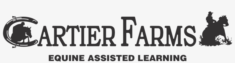 Picture - Horse, transparent png #2788541