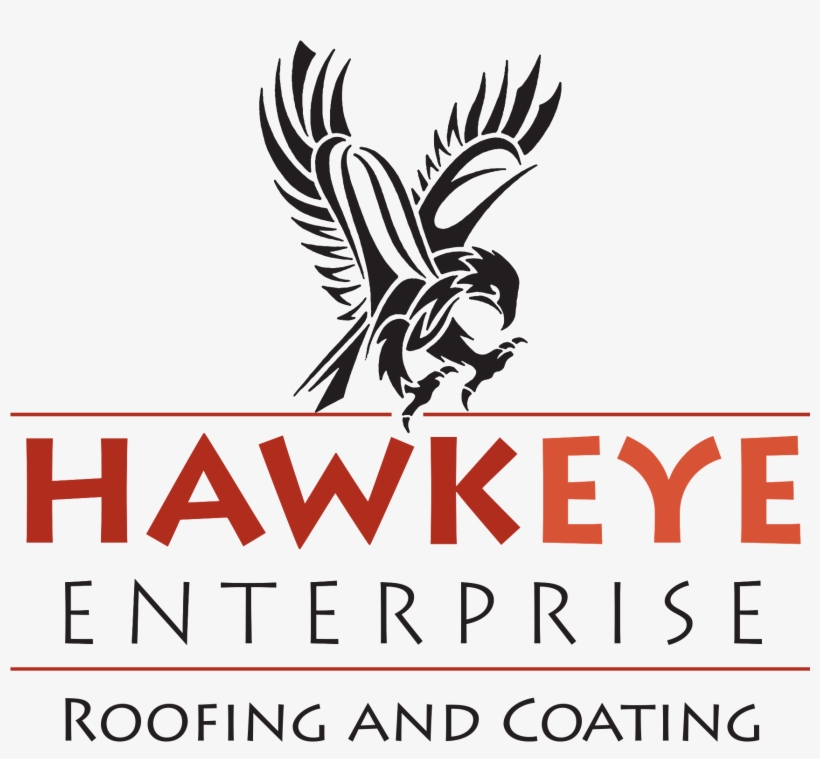 Hawkeye Enterprises Roofing & Coating - Good Father Book Cover, transparent png #2790218