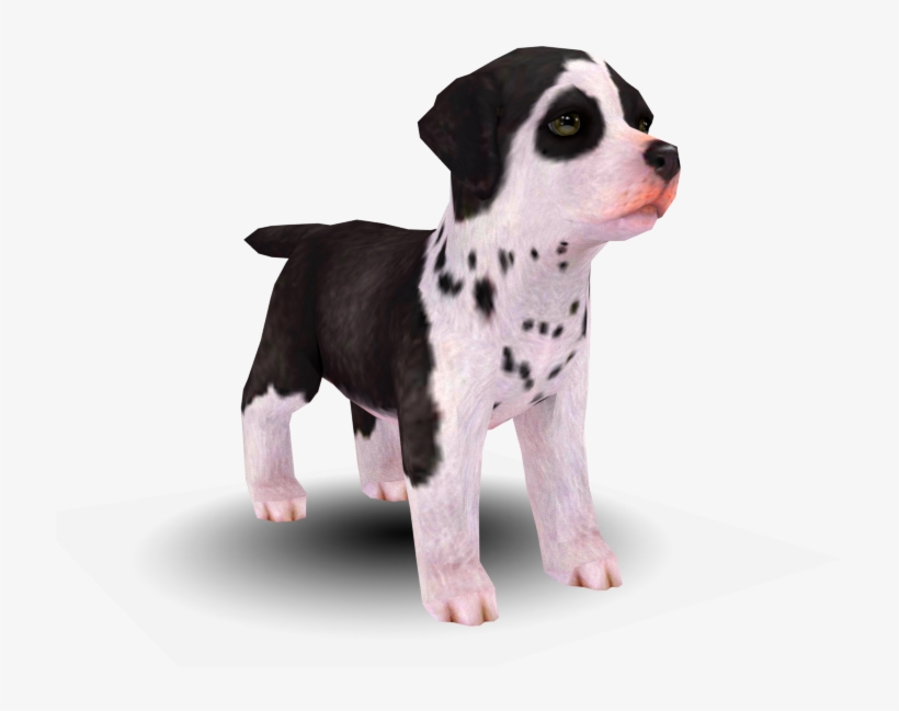 Download Zip Archive - Nintendogs + Cats, transparent png #2790546