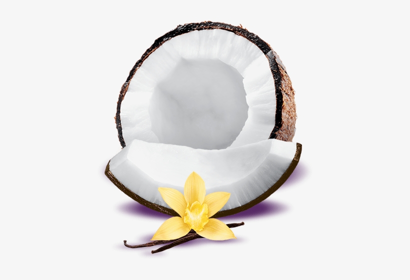 Post Navigation - Toasted Coconut Vanilla Yogurt, transparent png #2790565