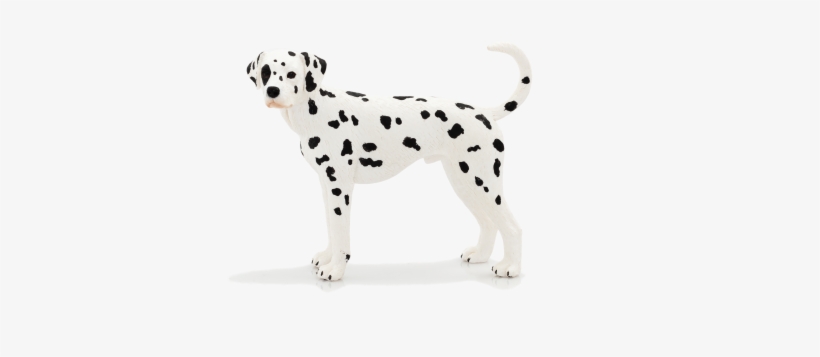 Farmland - Dalmatian, transparent png #2790587