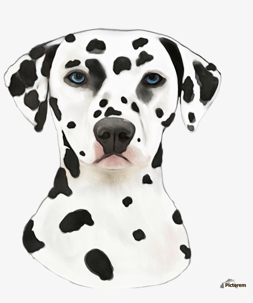 Canvas Print - Printing, transparent png #2790694