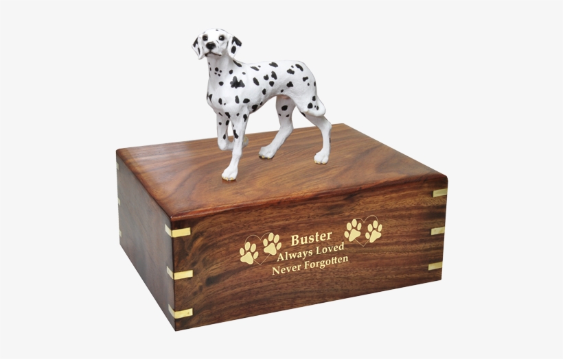 Wholesale Dalmatian Urn Engraved With Gold Fill - Dalmatian Dog, transparent png #2790714