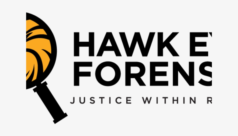 Hawkeye Clipart Hawk Eye - Hack Day, transparent png #2790850