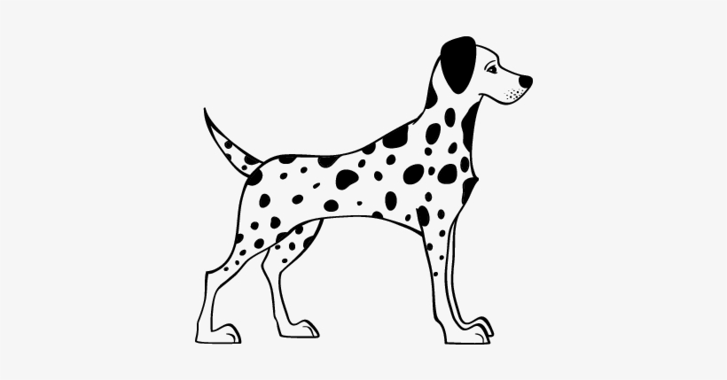 Perro Dalmata Para Dibujar, transparent png #2790901