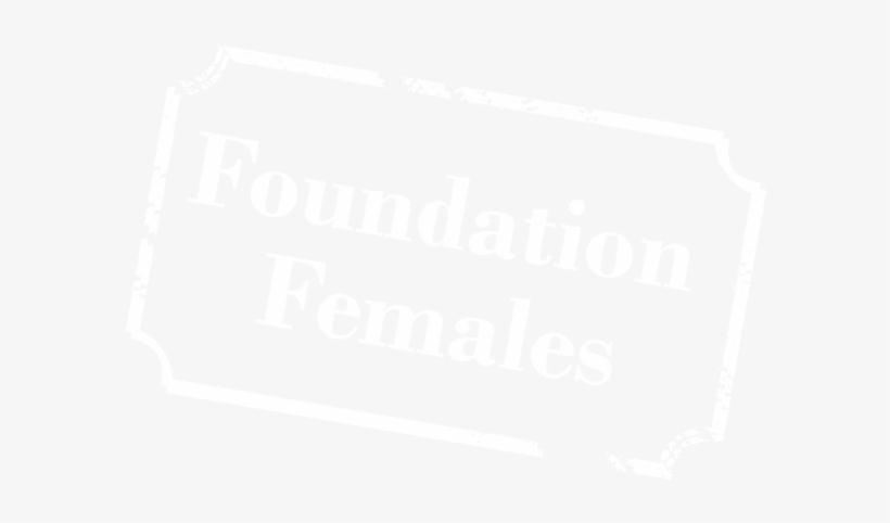 Foundation Females Hawkeye - Elven-jumper, transparent png #2790954
