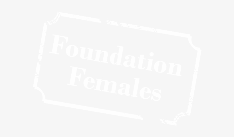 Foundation Females Hawkeye - Elven-jumper, transparent png #2790954