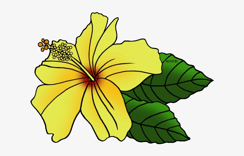 Where To Find Hawaiian Borders - Hawaii State Flower Clip Art, transparent png #2791300