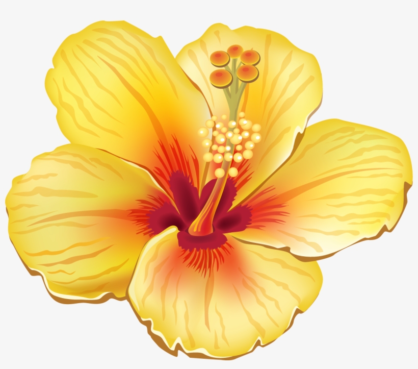 More Information - Tropical Flower Clipart, transparent png #2791369