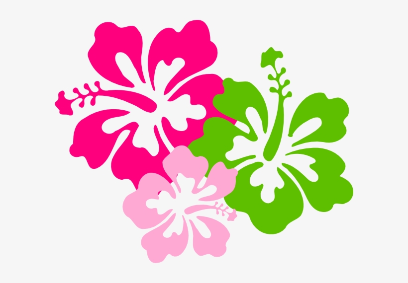 Hibiscus Pink Green Clip Art At Clker - Pink And Green Flower, transparent png #2791396